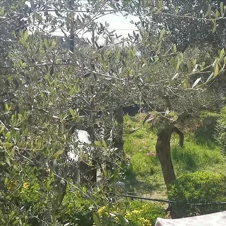 Tular Appartaments * Tellaro