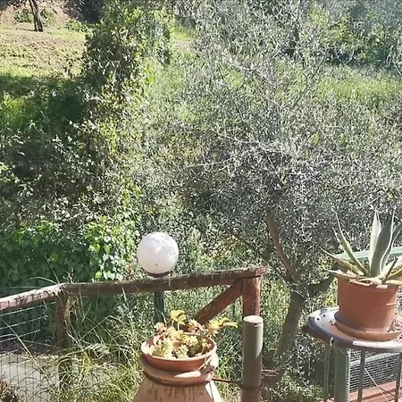 Ferienhaus Tular Appartaments *