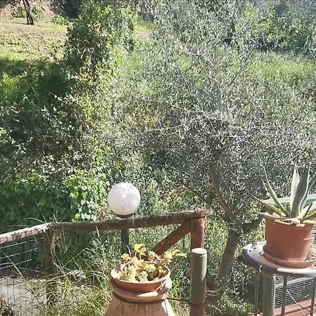 Σπίτι διακοπών Tular Appartaments *